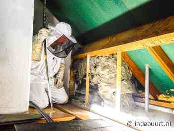 Wespenplaag in Hengelo? “Probeer ze niet zelf weg te halen” - indebuurt