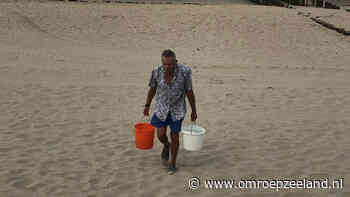 Waterstoring in Vlissingen: flesjes hamsteren, emmertjes zeewater halen en ijsklontjes laten smelten - Omroep Zeeland
