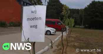 Halen dwingt inwoner om 14 geplante boompjes weg te halen - VRT NWS