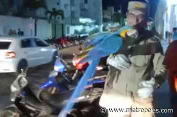 Vídeo: arara é resgatada após levar choque elétrico em Caldas Novas - Metrópoles