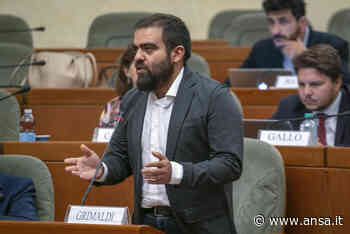 Elezioni: Grimaldi (Luv), prima i contenuti, poi i candidati - Agenzia ANSA