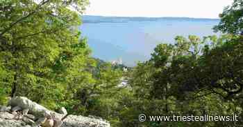 “Curiosi di natura” Alla scoperta dei segreti del Carso triestino - Trieste News
