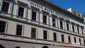 Adesso Trieste: "200 intellettuali contro l'abolizione del direttore dei musei" - TriestePrima