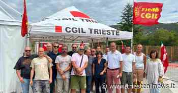 Serracchiani (PD) su Wartsila: "Richiamare centralità azione Fincantieri e MSC" - TRIESTE.news - Trieste News