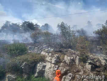Incendi Carso, Trieste Green Peer Parliament: "Più prevenzione, tutela, attenzione all'ambiente e ricerca" - triestecafe.it