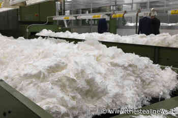 Il dramma industriale giuliano, incerto il futuro della Tirso - Trieste News