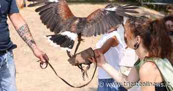 Triskell, gli eventi in programma per oggi - Trieste News