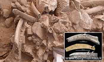 Humans settled in North America 17,000 years EARLIER than previously believed, study finds