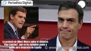 La profecía de Albert Rivera sobre el siniestro ‘Plan Sánchez’, que se ha cumplido punto a punto para desgracia de España - Periodista Digital
