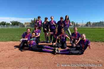 Cochrane Minor Ball teams hit home runs at Calgary Softball City Championships - Cochrane Today