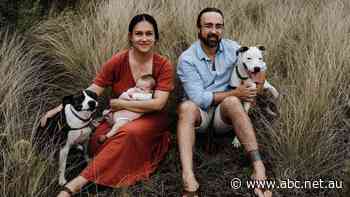 'We're gutted, really': The Chamberlains just had their mortgage capacity slashed as interest rates rise