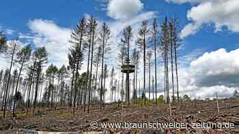 Forscher: Klimakrise kann Überleben der Menschheit gefährden