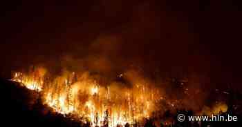 Aanhoudende bosbrand legt al meer dan 20.000 hectare in de as in Californië - Het Laatste Nieuws
