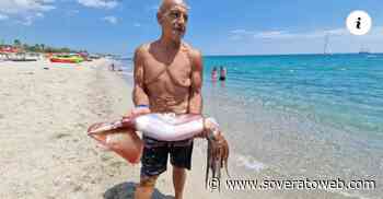 Catturato a Roccella Jonica un calamaro gigante di 10 kg - Soverato Web