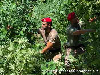 Abusivimo e droga tra Agerola e Gragnano e Agerola - Cronache della Campania