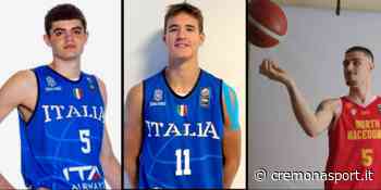 Basket, Milovanovikj, Zacchigna e Gallo: da Cremona all'Europa Under - CremonaSport