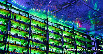 SEC charges 11 people in alleged $300 million crypto Ponzi scheme