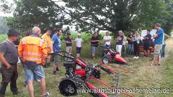 Aichach-Friedberg: Wenn die Wiesen blühen, finden Insekten Nahrung | Aichacher Nachrichten - Augsburger Allgemeine
