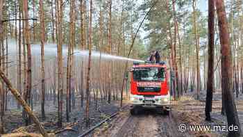 Einsatz bei Waldbrand in Sachsen: Brandgefährlicher Einsatz für Kameraden aus Querfurt - Mitteldeutsche Zeitung