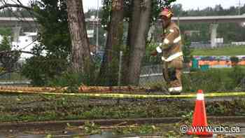 Severe thunderstorm warnings in effect for parts of central Alberta