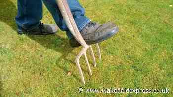How to revive your lawn after hot weather spell - Wakefield Express