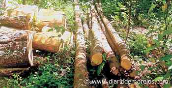 Pega a Cuernavaca omisión de alcalde de Huitzilac - Diario de Morelos