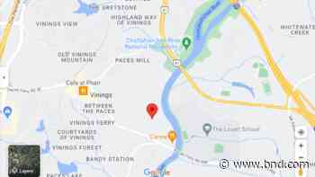 Woman in river clings to branch with one hand while helping save others, Georgia cops say - Belleville News-Democrat