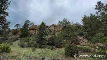 Human remains found less than a mile from where missing camper vanished in Colorado - Belleville News-Democrat