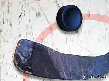 INQUINTE.CA | Ottawa vs Toronto game in Belleville is sold out - inquinte.ca