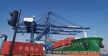Zhonggu Logistics books $230m profit from container market in H1 - Seatrade Maritime News