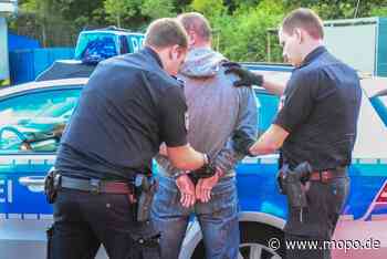 Hamburger Polizei fasst fünf Einbrecher in 15 Minuten – auch dank Hund Fleur - Mopo.de