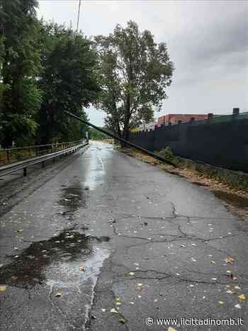 Brugherio: le forti piogge abbattono un palo in via Increa - Il Cittadino di Monza e Brianza