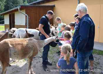 Finsterwalde feiert Tierparkfest - NIEDERLAUSITZ aktuell