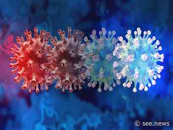 Coronavirus Cases Worldwide Surpass 577 Mln - See