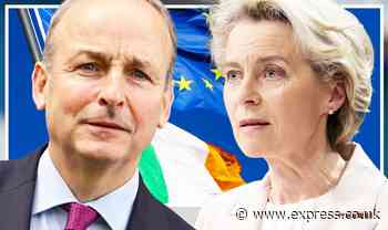 Face the facts! Fury erupts as EU throws Dublin under the bus – Irexit now 'on agenda' - Express