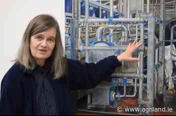 Dublin woman draws parallels between farming and artistry - Agriland