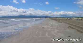 Irish woman gang raped at Dublin beach targeted with sick online taunts - Irish Mirror