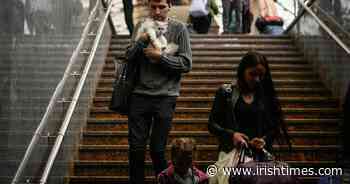 Only 11 of Dublin city household offers to host Ukrainians move forward - The Irish Times