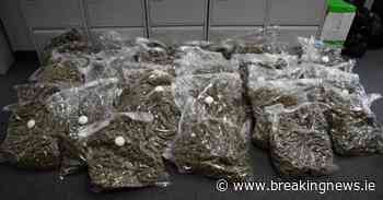 Cannabis worth €700,000 seized in Dublin - BreakingNews.ie