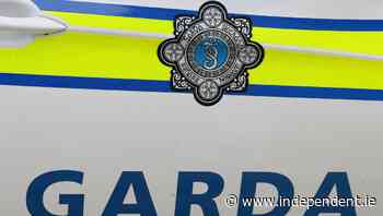 Holidaying gardaí took squad car to Dublin Airport and left it there - Independent.ie