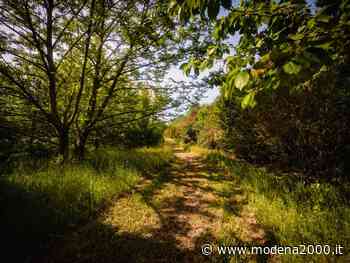 Parco Santacroce di Carpi: esito positivo alla variante urbanistica - Modena 2000