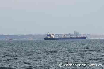 1st ship carrying Ukrainian grain leaves the port of Odesa - Kitchener.CityNews.ca