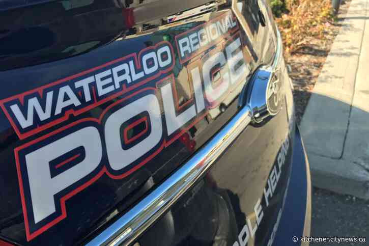 One woman arrested after a fight at Kitchener apartment - Kitchener.CityNews.ca
