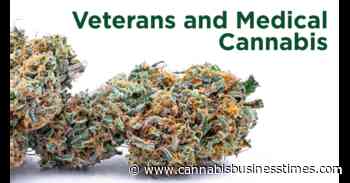 In Massachusetts, New Research Project Examines Veterans' Access to Medical Cannabis - Cannabis Business Times