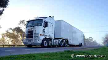 Calls to change Transport Accident Commission laws to back truckies over pedestrian tragedies - ABC News