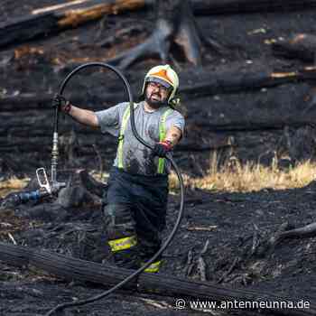 Waldbrände in Sachsen wüten weiter - Antenne Unna