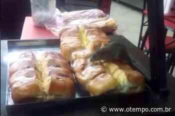 Vídeo mostra rato em cima de pães em padaria de Betim - O Tempo