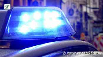 Polizei Pinneberg: 28-Jähriger von Männergruppe mit Schusswaffe ausgeraubt - Hamburger Abendblatt