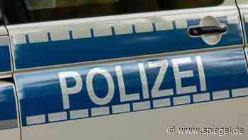 Saalfeld-Rudolstadt: 50-jähriger Mann stirbt nach Jagdunfall - DER SPIEGEL