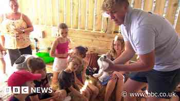 Cornwall farmers give hands-on lessons about food - bbc.co.uk